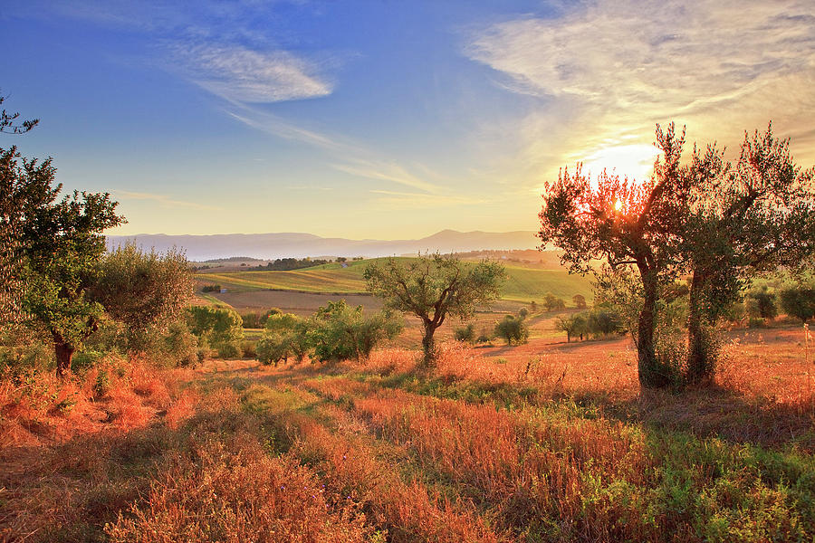 Campagna umbra al tramonto